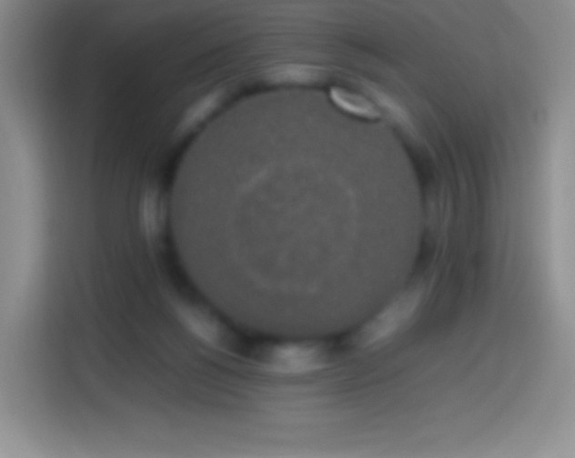 X0000113850168200910011008