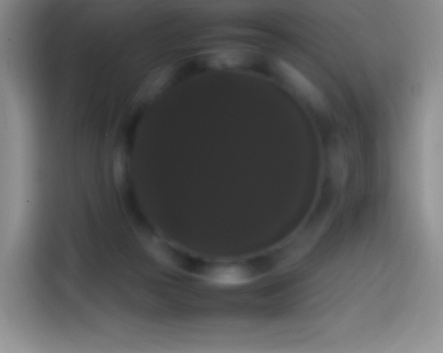 X0000113850169200910011008