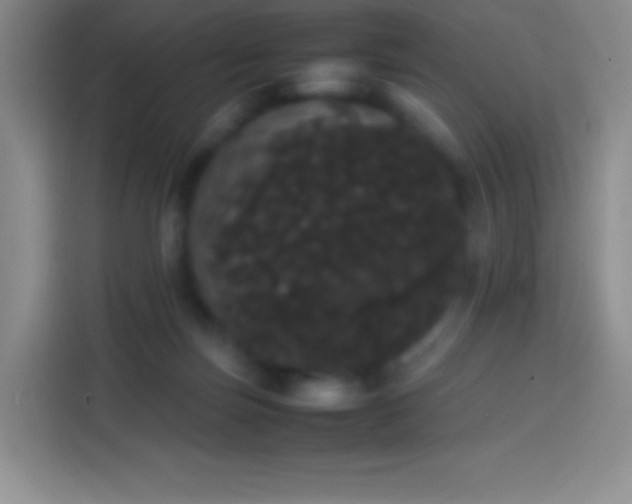 X0000113850171200910011008