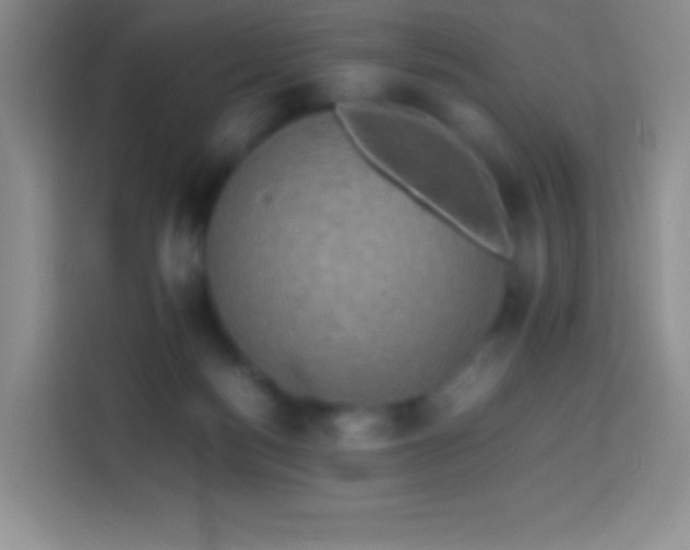 X0000113850172200910011008