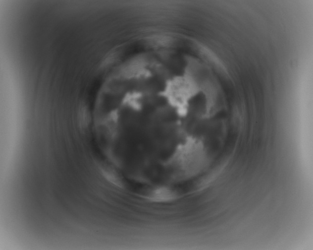 X0000113850173200910011008