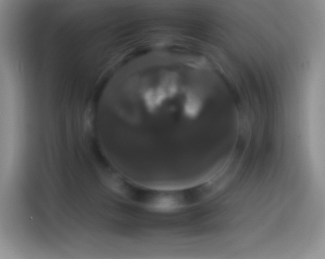 X0000113850175200910011008