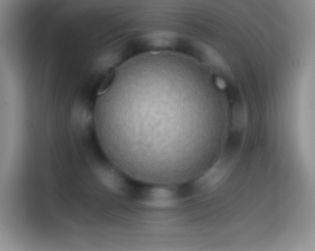 X0000113850176200910011008