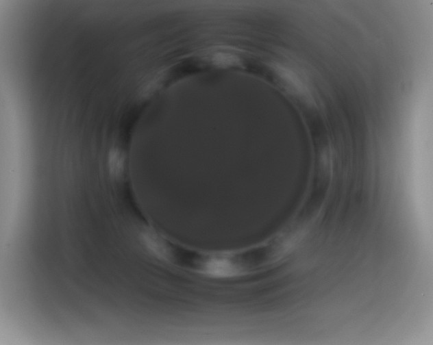 X0000113850177200910011008