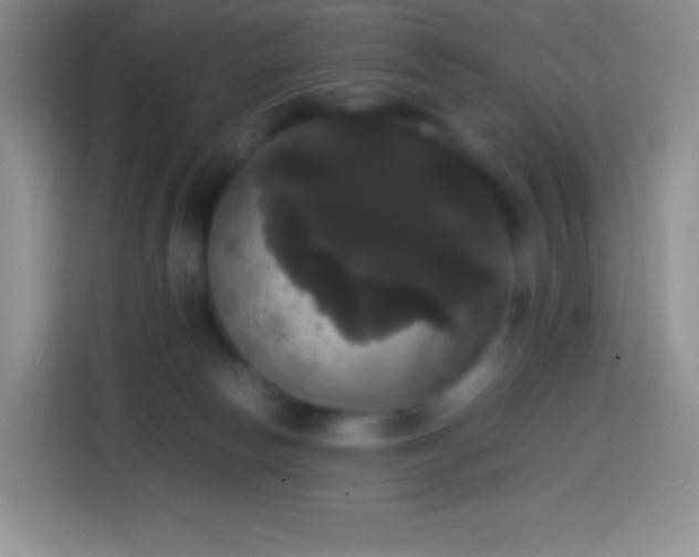 X0000113850178200910011008