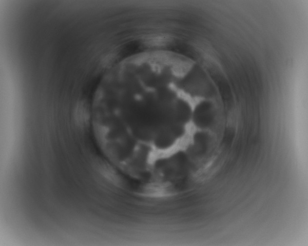 X0000113850179200910011008