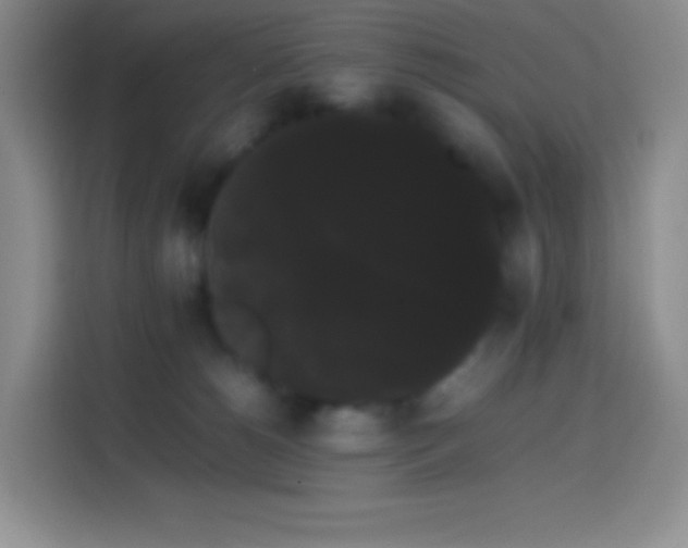 X0000113850180200910011008