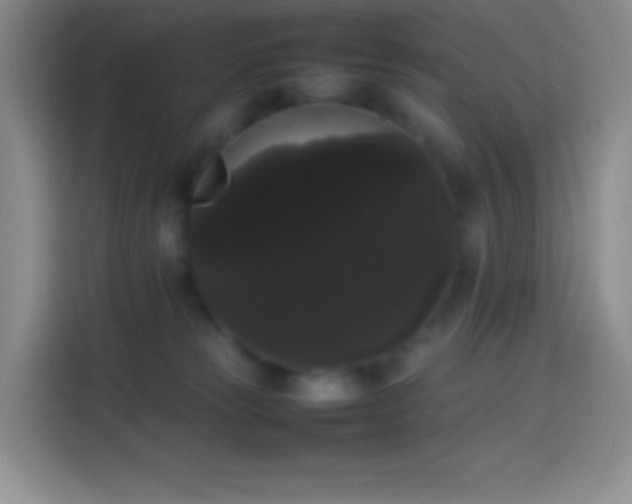 X0000113850181200910011008