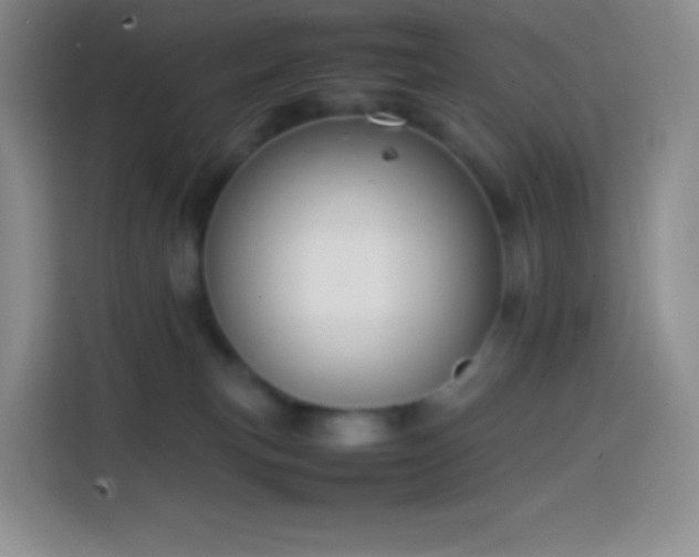 X0000113850183200910011008