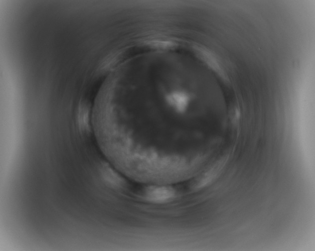 X0000113850185200910011008