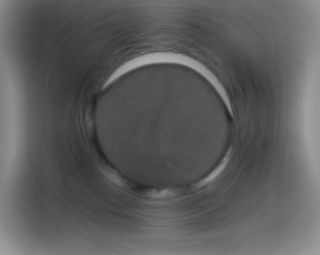 X0000113850186200910011008