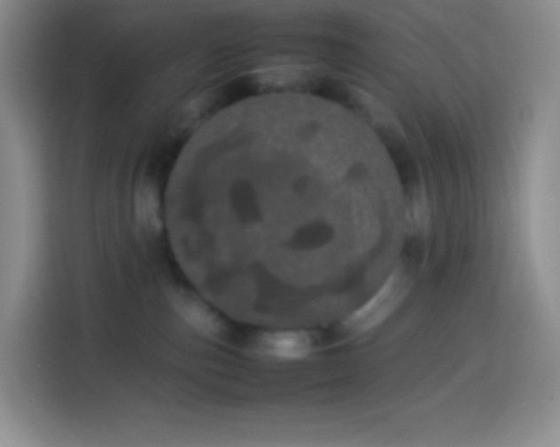 X0000113850187200910011008