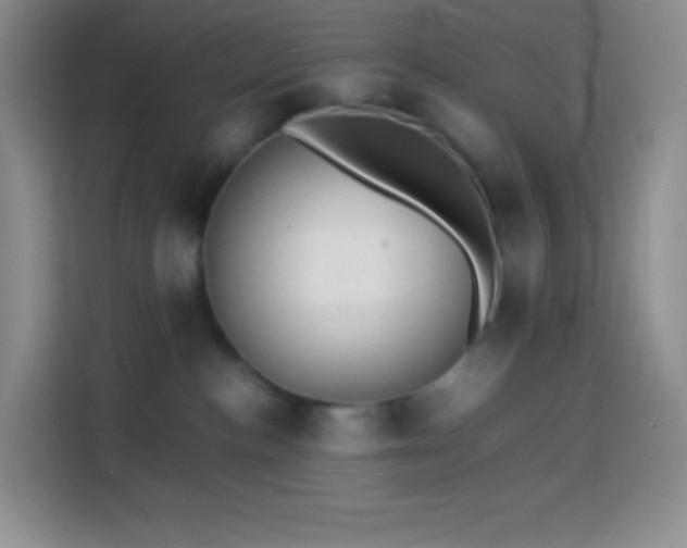 X0000113850188200910011008