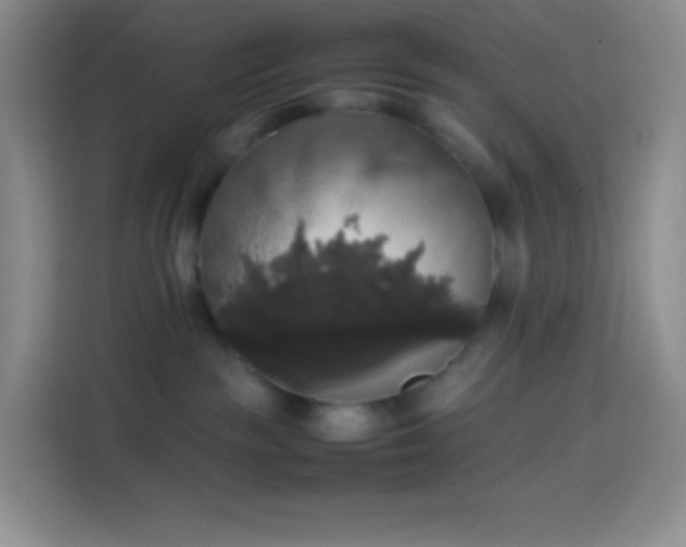 X0000113850189200910011008