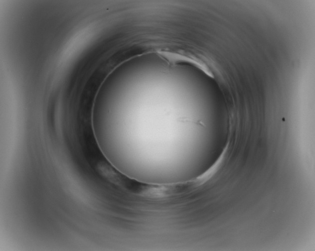 X0000113850190200910011008