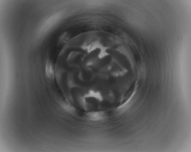 X0000113850191200910011008