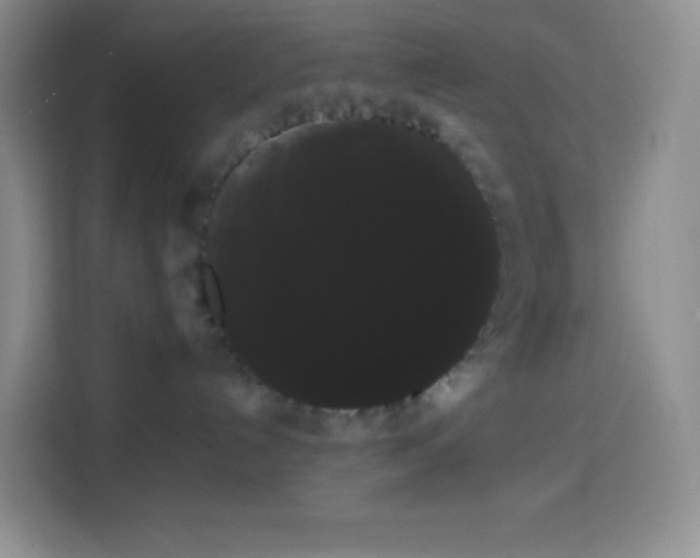 X0000113850192200910011008