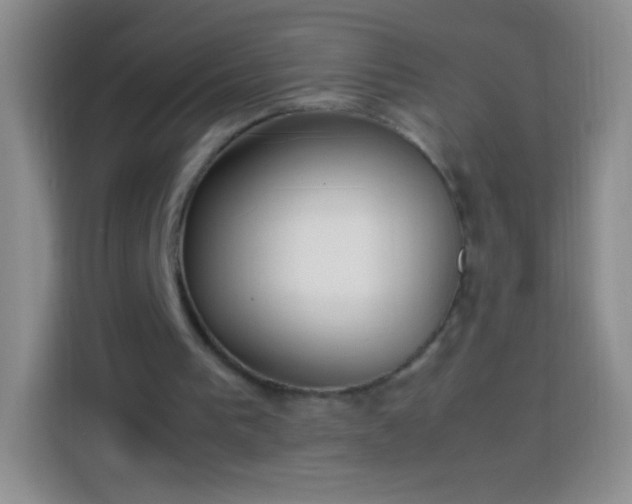 X0000113850193200910011007