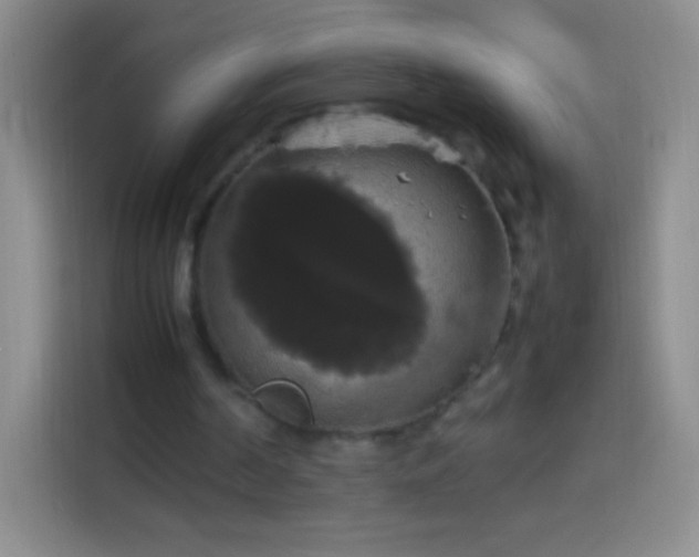 X0000113850194200910011007