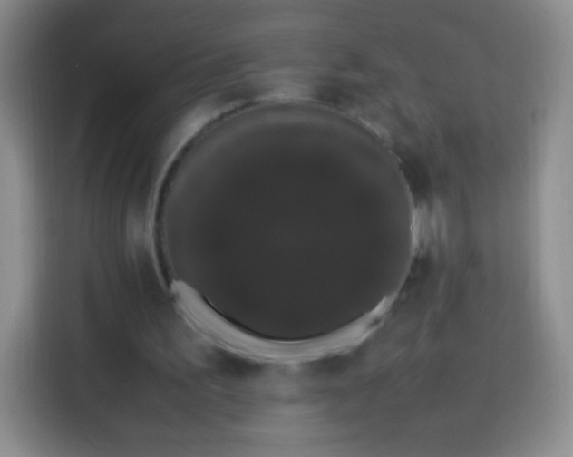 X0000113850195200910011007