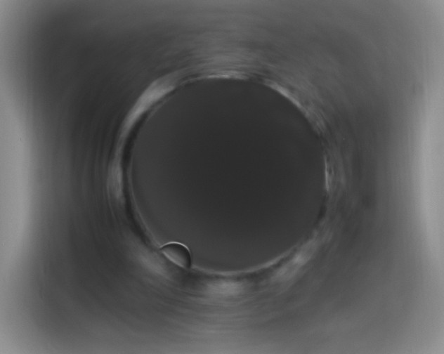 X0000113850198200910011007