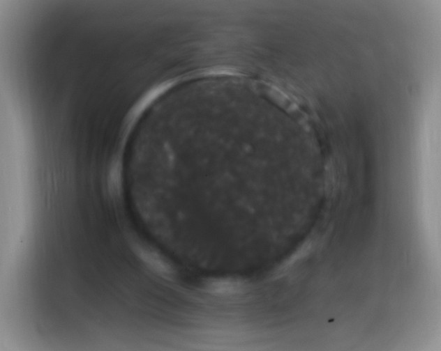 X0000113850200200910011007