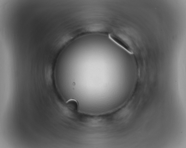 X0000113850201200910011007