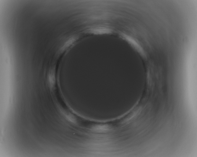 X0000113850202200910011007