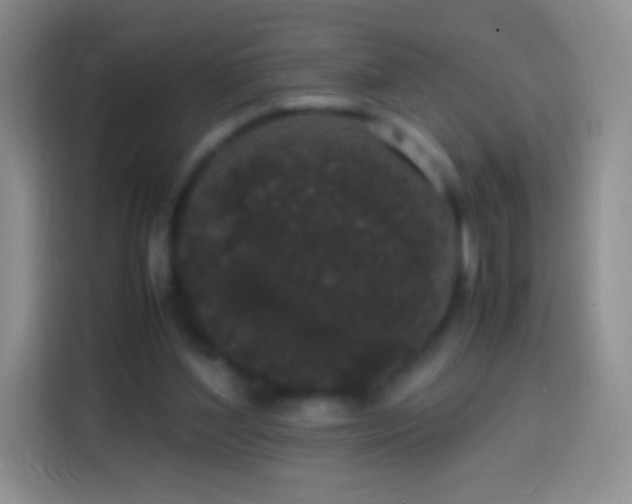 X0000113850204200910011007