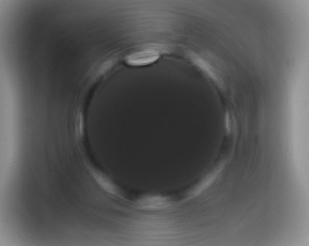 X0000113850205200910011007