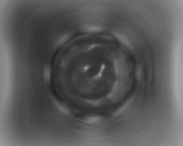 X0000113850206200910011007