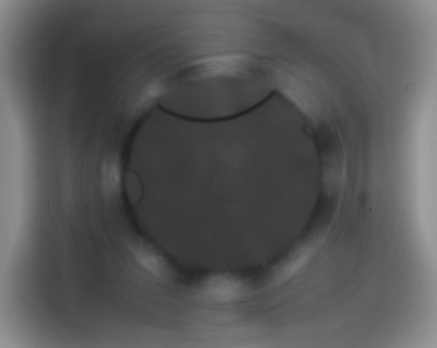 X0000113850207200910011007