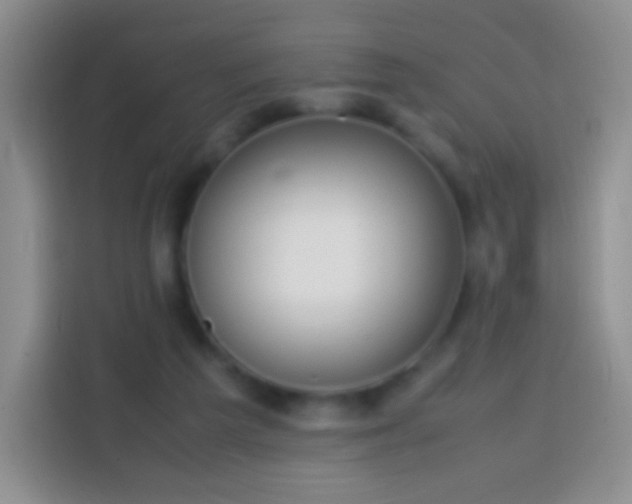 X0000113850209200910011007