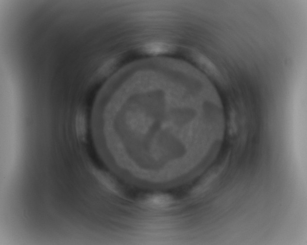 X0000113850210200910011007