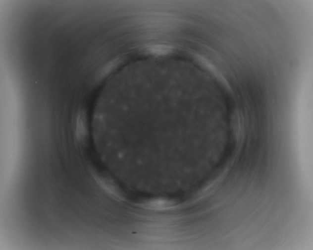 X0000113850212200910011007