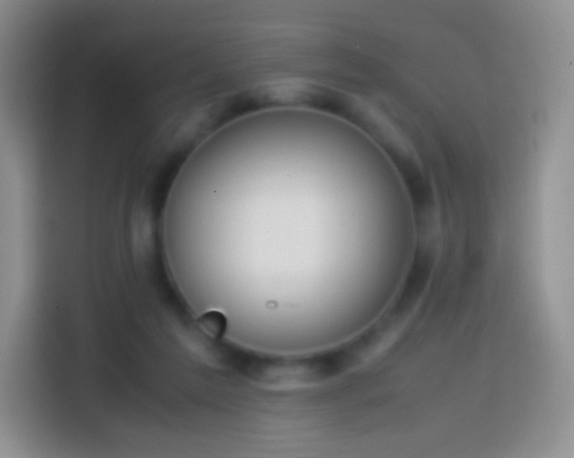 X0000113850213200910011007