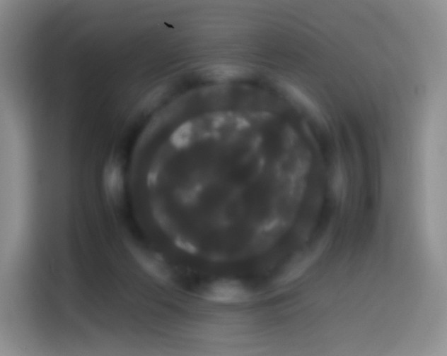 X0000113850214200910011007