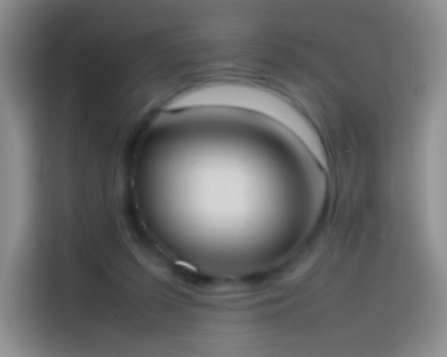 X0000113850215200910011007