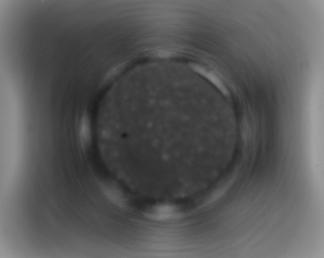 X0000113850216200910011007