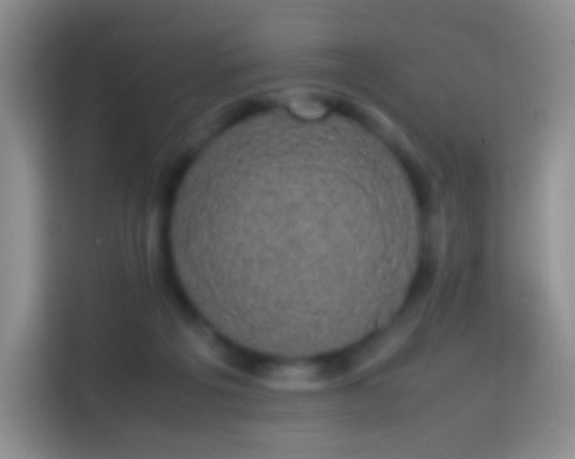 X0000113850217200910011007