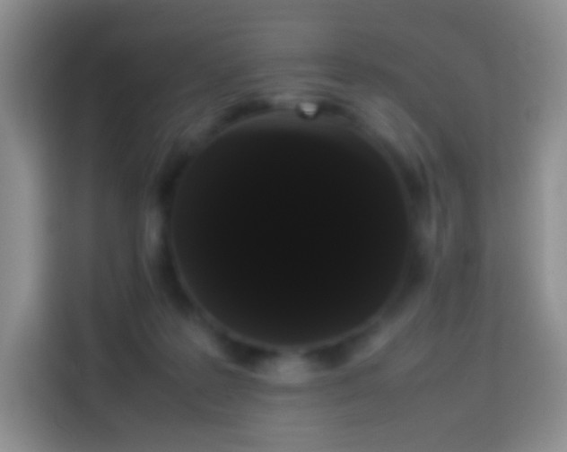 X0000113850219200910011007