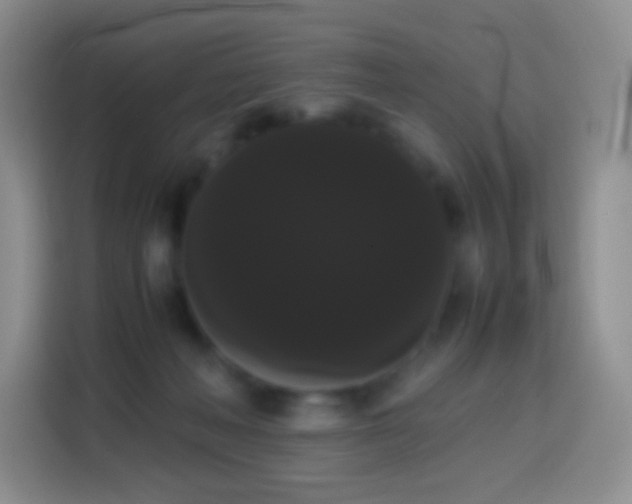 X0000113850222200910011007