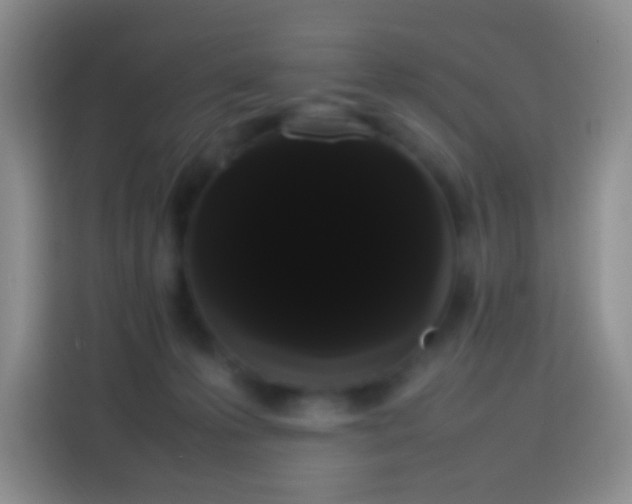 X0000113850223200910011007