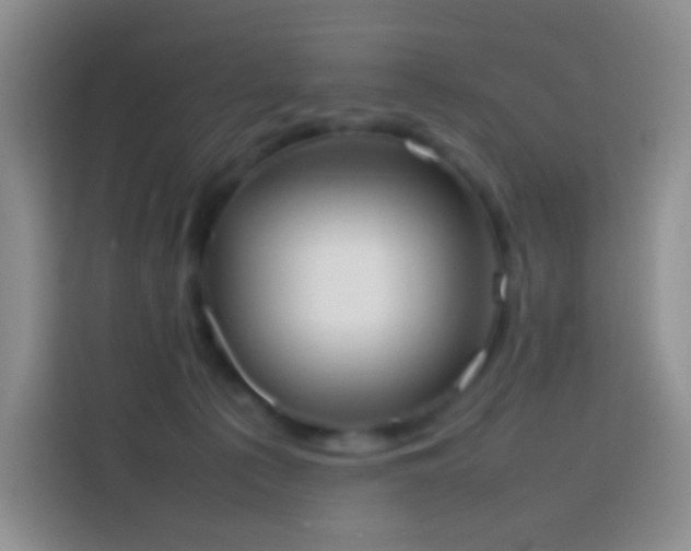 X0000113850225200910011007