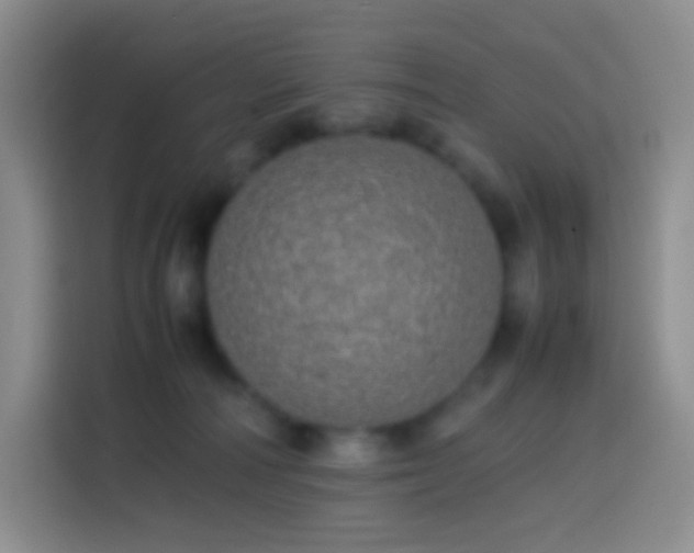 X0000113850226200910011007