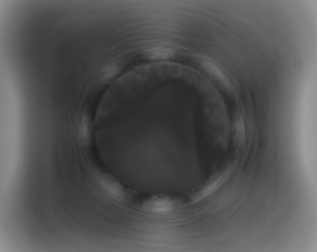 X0000113850228200910011007