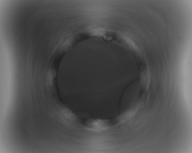 X0000113850229200910011007