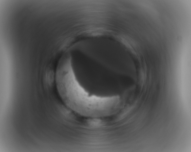 X0000113850230200910011007