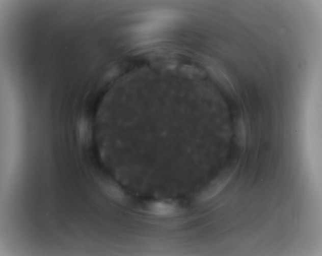 X0000113850232200910011007