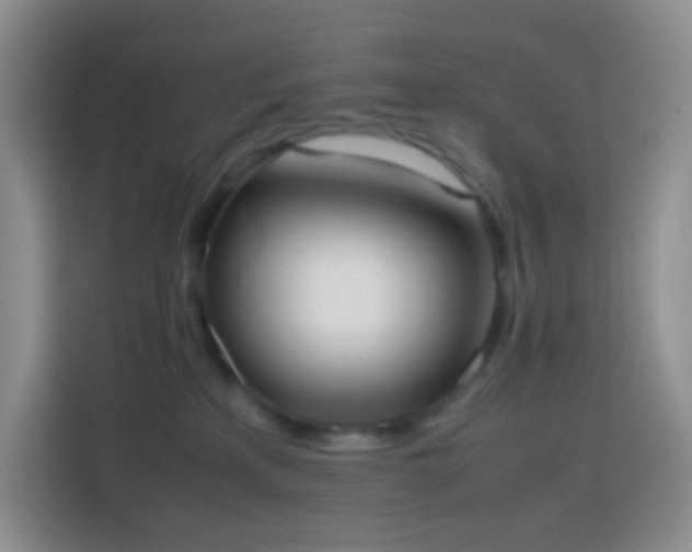 X0000113850233200910011007